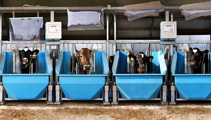 Német agrárszektor